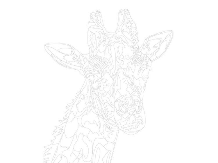 Картина по номерам «Разноцветный жираф» — картинка 3