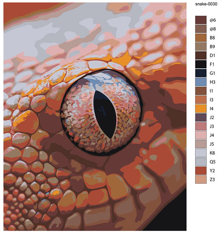 Картина по номерам «Глаз змеи, Символ года, животные 40x50» — картинка 2