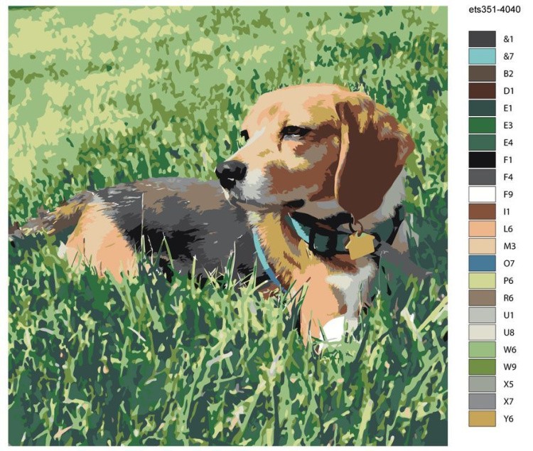 Картина по номерам «Пес на полянке» — картинка 2