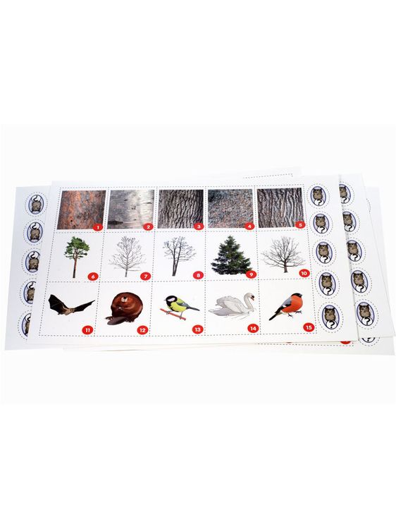 Настольная игра-путешествие Зимняя сказка — картинка 4