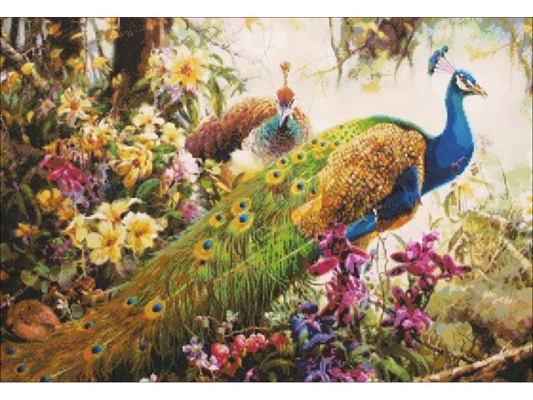 Алмазная вышивка «Павлины в цветах» — картинка 2