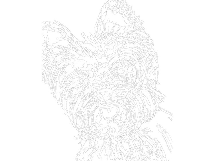 Картина по номерам «Милый йорк» — картинка 3