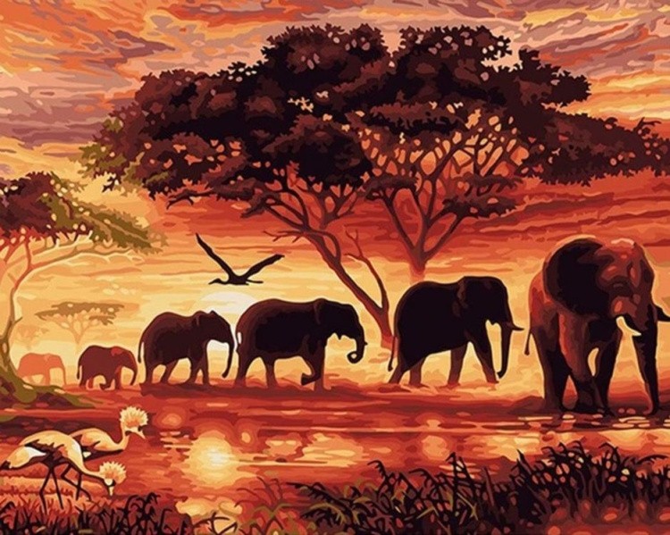 Картина по номерам «Стая слонов»