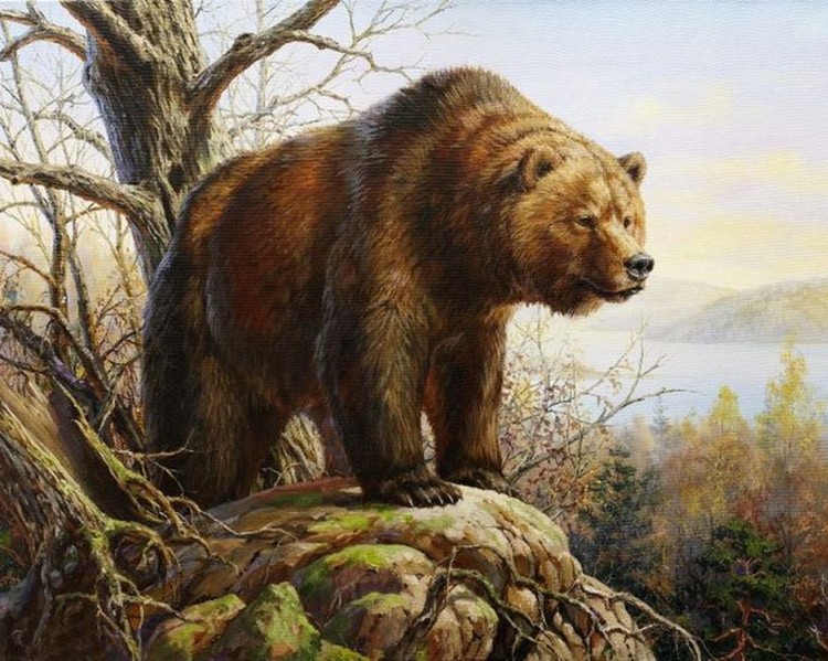 Картина по номерам «Бурый медведь»