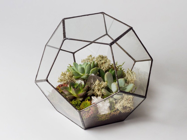 Флорариум додекаэдр маленький — картинка 6