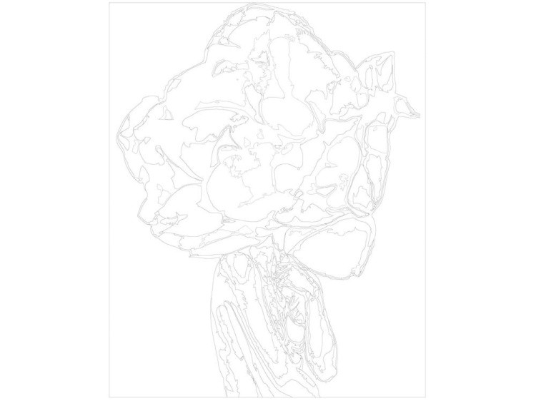 Картина по номерам «Цветочная голова 10» — картинка 3