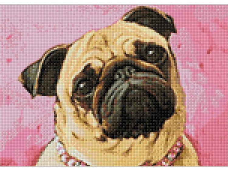 Алмазная вышивка «Мопс» — картинка 3