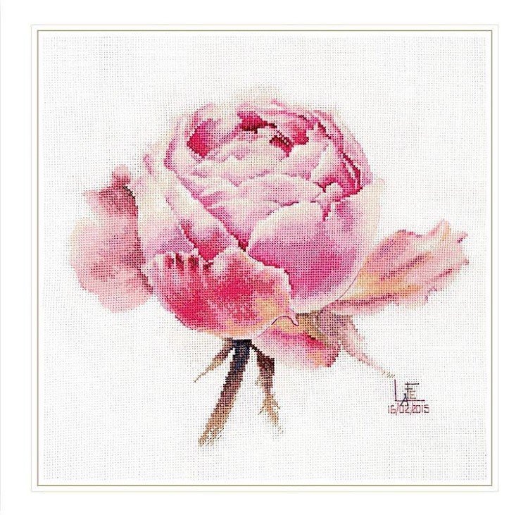 Набор для вышивания «Акварельные розы. Розовая изысканная»