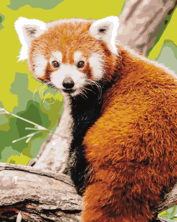 Картина по номерам «Красная панда»