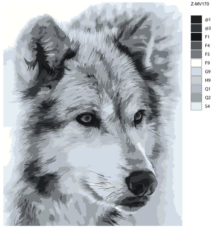 Картина по номерам «Одинокий волк» — картинка 2