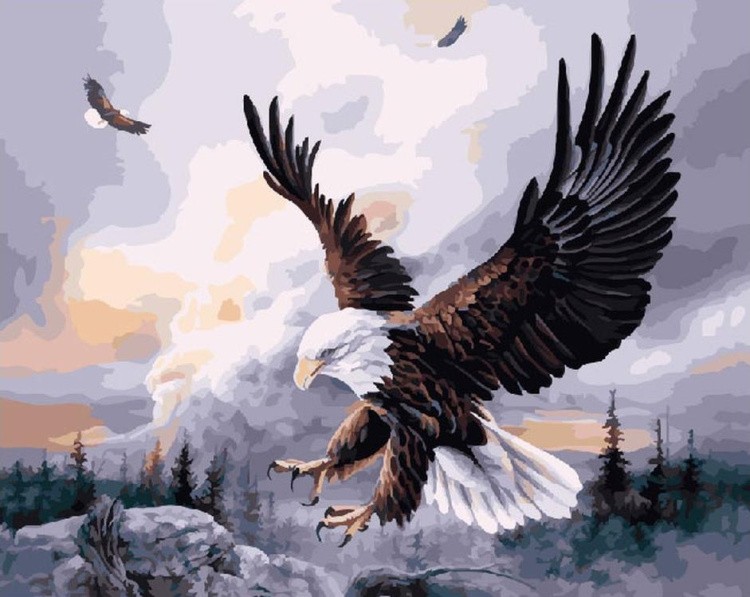 Картина по номерам «Горный орел»
