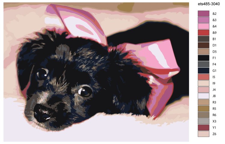 Картина по номерам «Щенок с бантом» — картинка 2