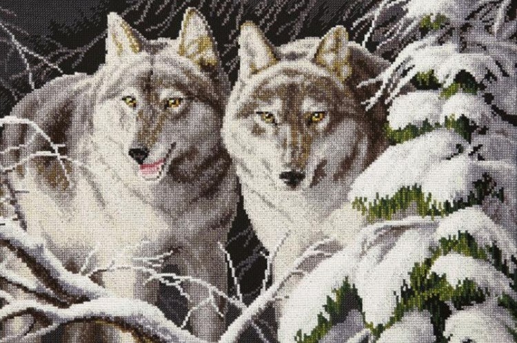 Набор для вышивания «Волки в зимнем лунном свете»