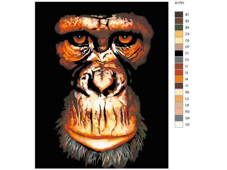 Картина по номерам «Портрет обезьяны» — картинка 2