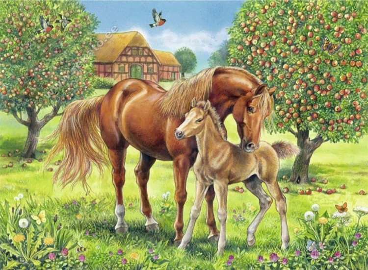 Пазлы «Лошади в поле»