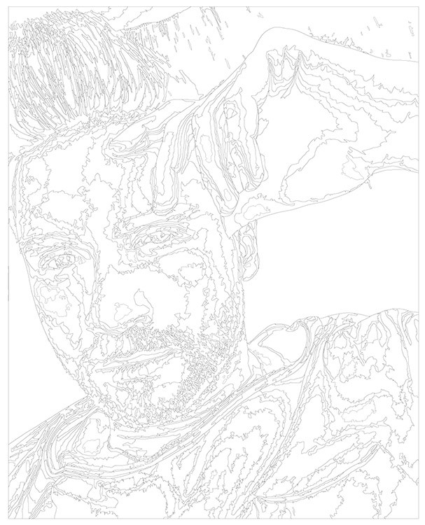 Картина по номерам «Российский музыкант Сергей Лазарев 12» — картинка 3