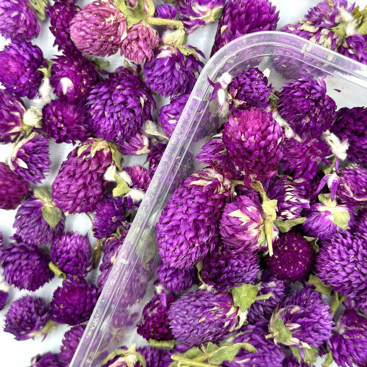 Сухоцветы цветы Гомфрены, 1 упаковка — картинка 2