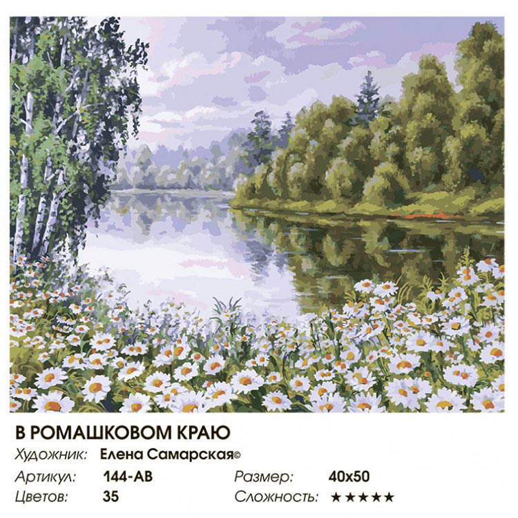 Картина по номерам «В ромашковом краю» — картинка 2