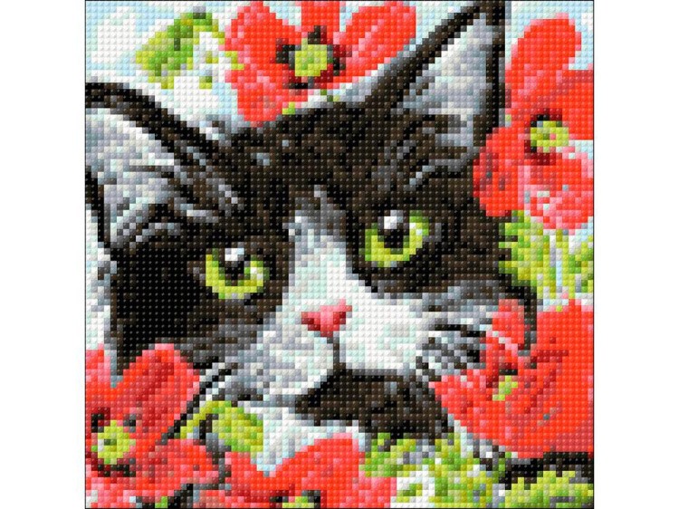 Алмазная вышивка «Кот в цветах» — картинка 2