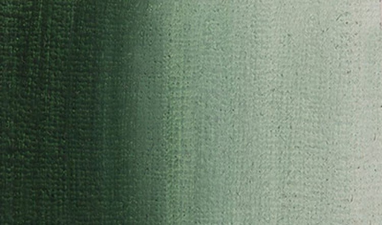 Краска масляная VISTA-ARTISTA Studio, темно-зеленый оливковый (Duck Green), 45 мл