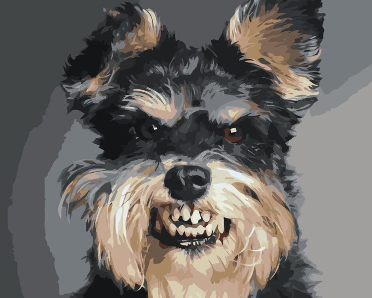 Картина по номерам «Злой пес»