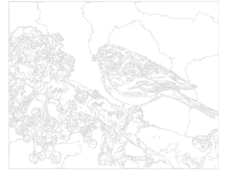 Картина по номерам «Птица на ветке» — картинка 3