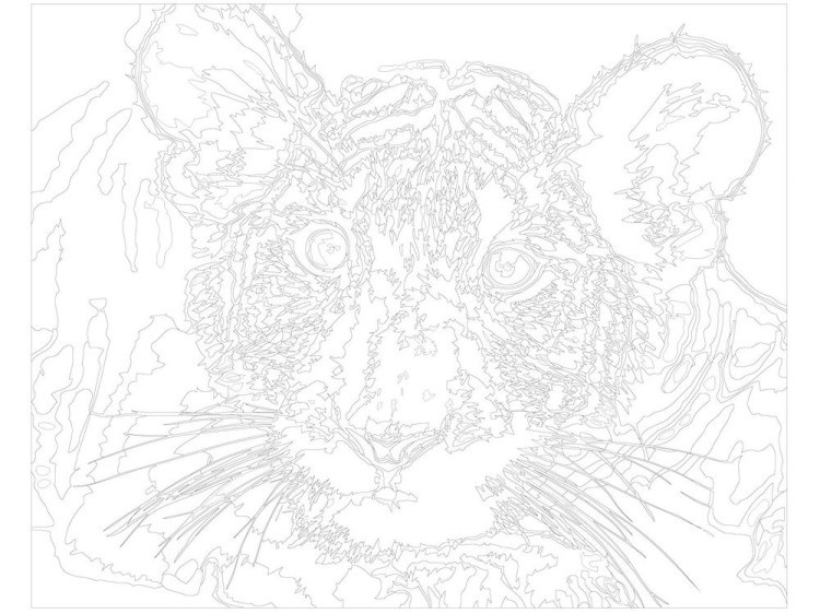 Картина по номерам «Удивлённый тигрёнок» — картинка 3