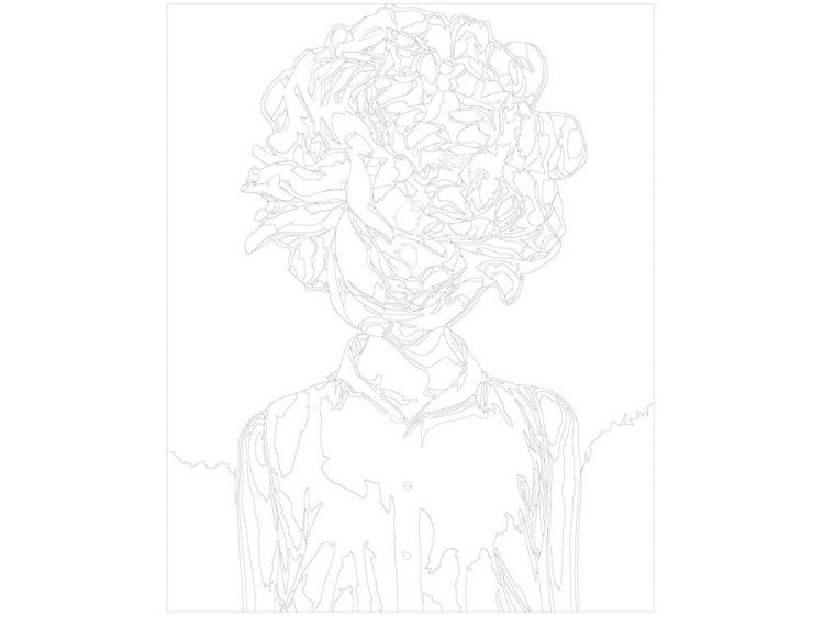 Картина по номерам «Цветочная голова 6» — картинка 3