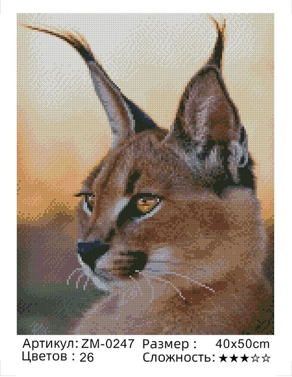 Алмазная вышивка «Рысь» — картинка 2