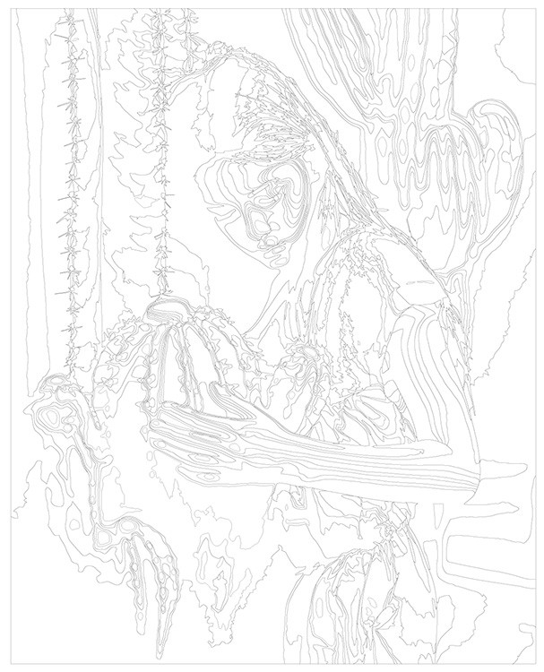 Картина по номерам «Девочка обнимает кактус» — картинка 3