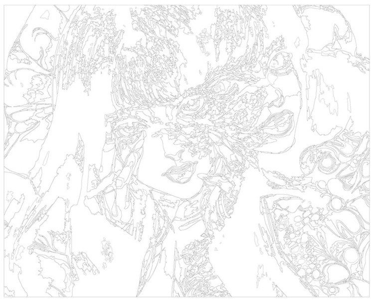 Картина по номерам «Аниме: Дзюндзи Ито Tomie Томиэ Манга» — картинка 3