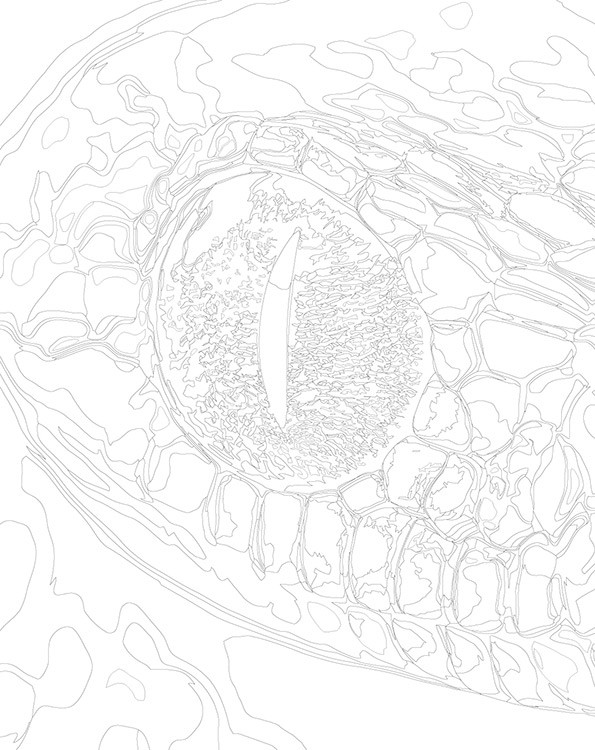 Картина по номерам «Глаз зеленой змеи, Символ года, животные» — картинка 3