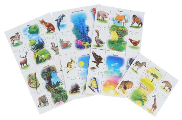 Ассоциации 5 элементов «Мир животных» — картинка 4