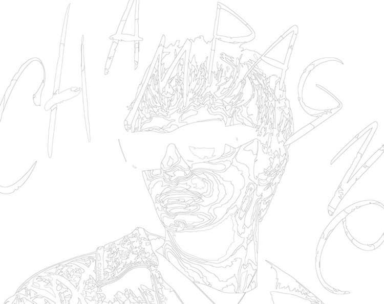 Картина по номерам «Mayot Майот Моет: Champagne» — картинка 3