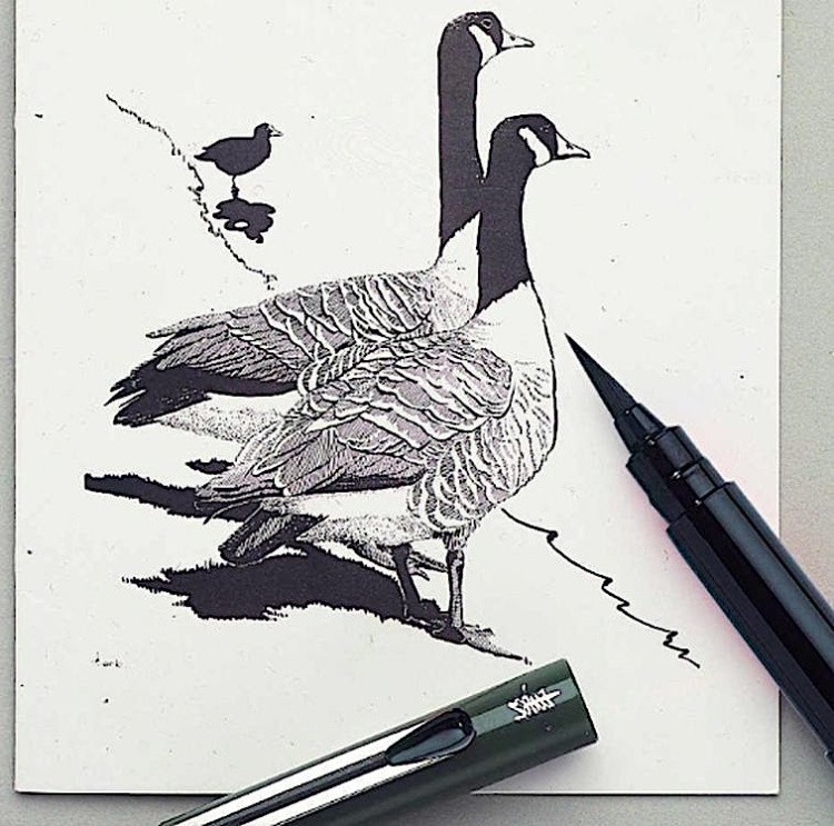 Ручка-кисть Brush Pen для каллиграфии, с двумя сменными чернилами, Pentel — картинка 4