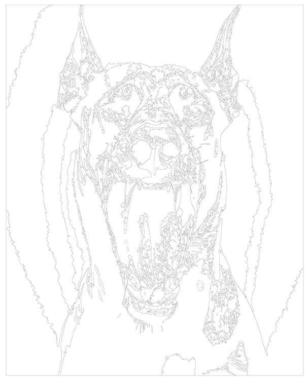 Картина по номерам «Черная собака доберман с открытой пастью» — картинка 3