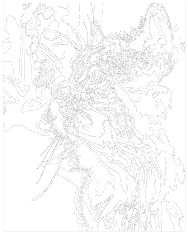 Картина по номерам «Голубоглазый кот и бабочка» — картинка 3