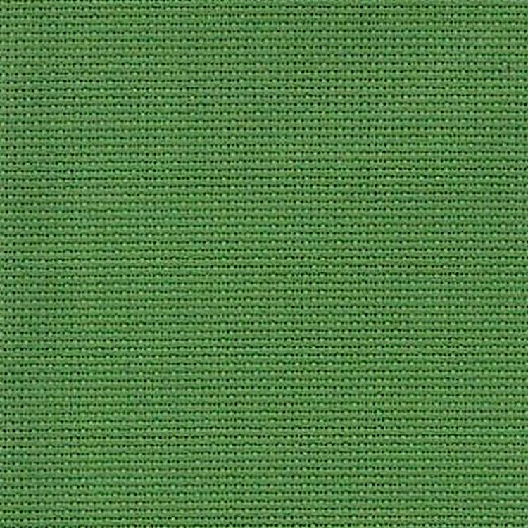 Канва средняя (10х55кл), 40x50 см, цвет: зеленый, TBY