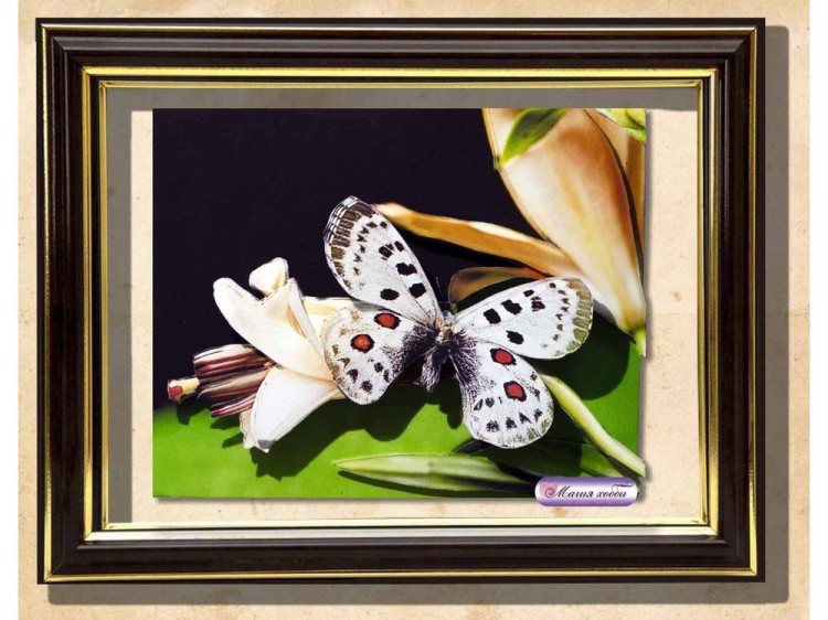 Рамка-аквариум с прозрачным дном для папертоли — картинка 2