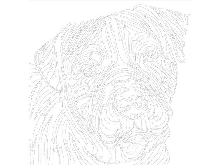 Картина по номерам «Ротвейлер» — картинка 3