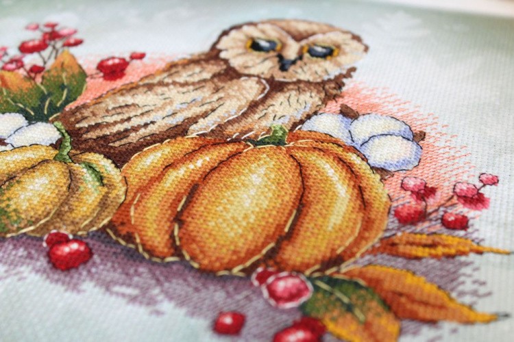 Набор для вышивания «Сова на тыкве» — картинка 3