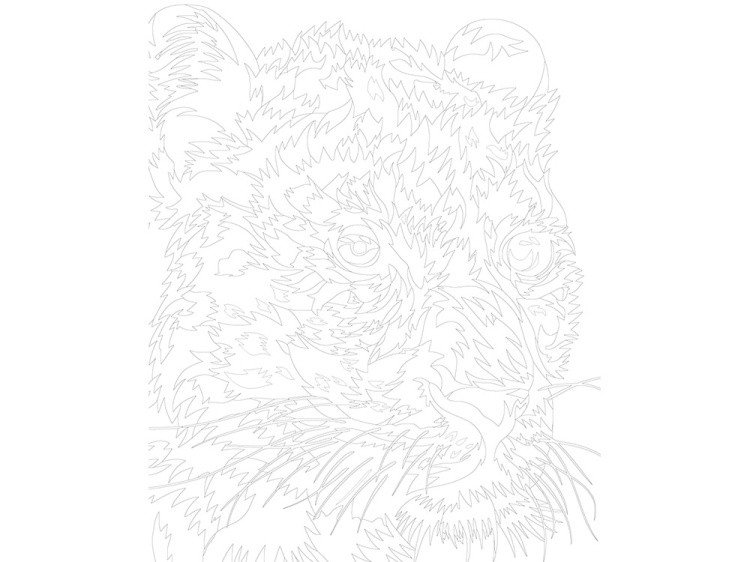 Картина по номерам «Красочный леопард» — картинка 3