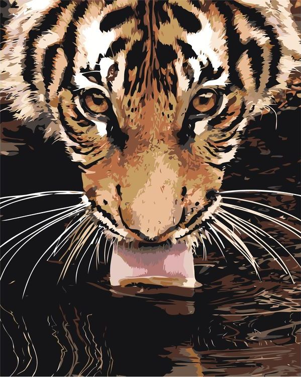 Картина по номерам «Лакающий тигр»