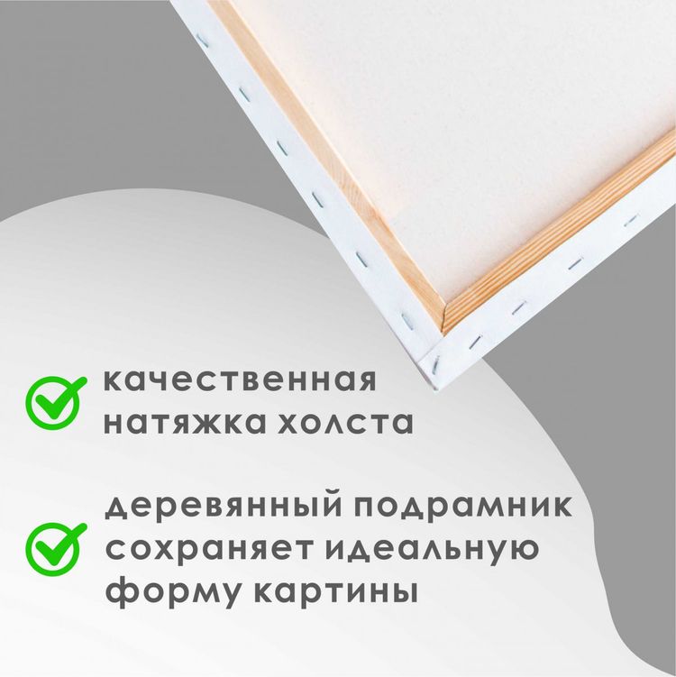 Алмазная вышивка «Песни лета» — картинка 5