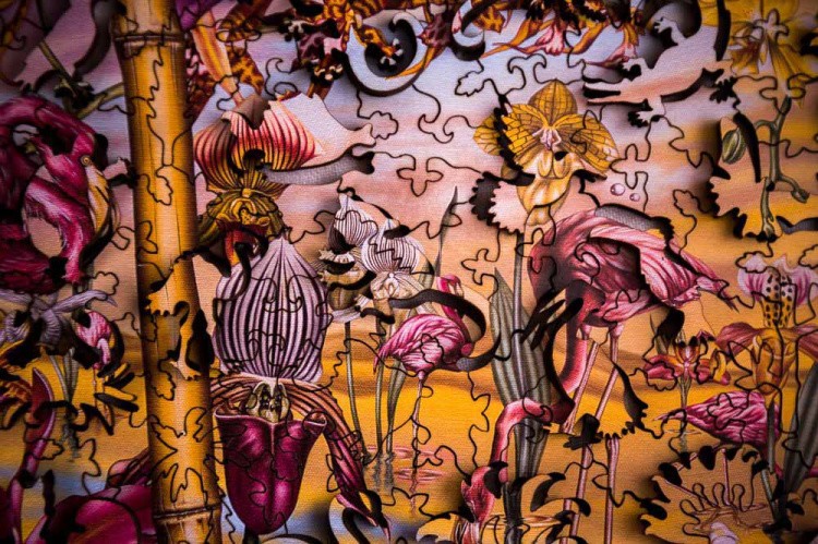 Деревянные пазлы DAVICI «Великое искусство света и тени» — картинка 6