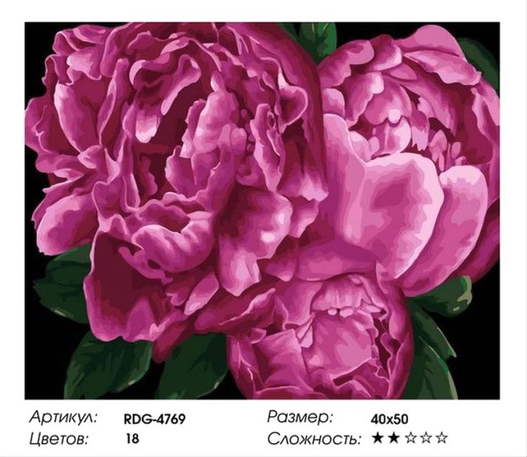 Картина по номерам «Пионы» — картинка 2
