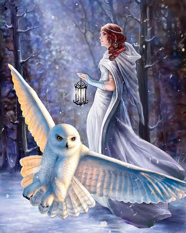 Алмазная вышивка «Лесная фея» — картинка 2