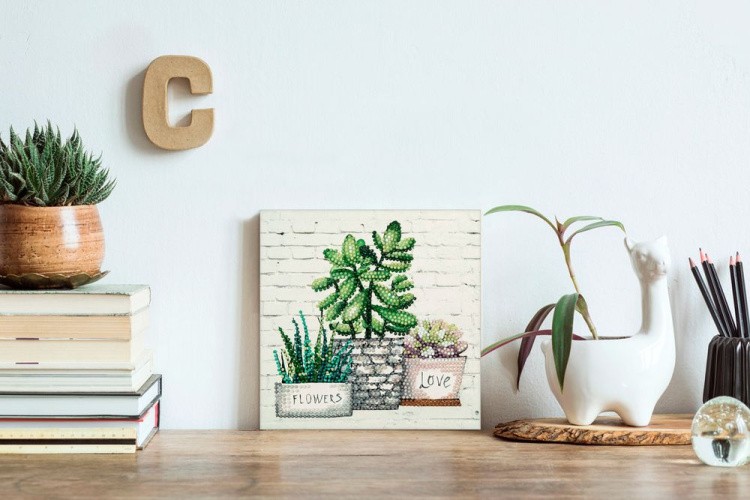 Алмазная вышивка «Суккуленты» — картинка 3