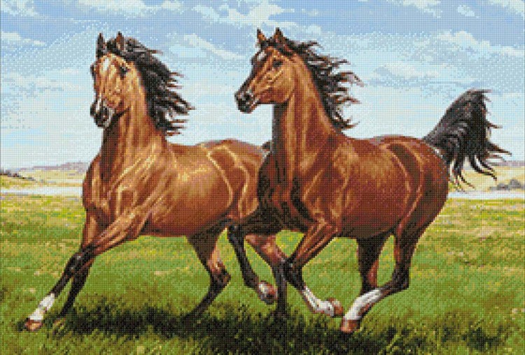 Алмазная вышивка «Тандем» — картинка 2