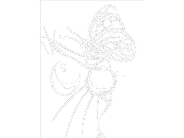 Картина по номерам «Красивая бабочка» — картинка 3